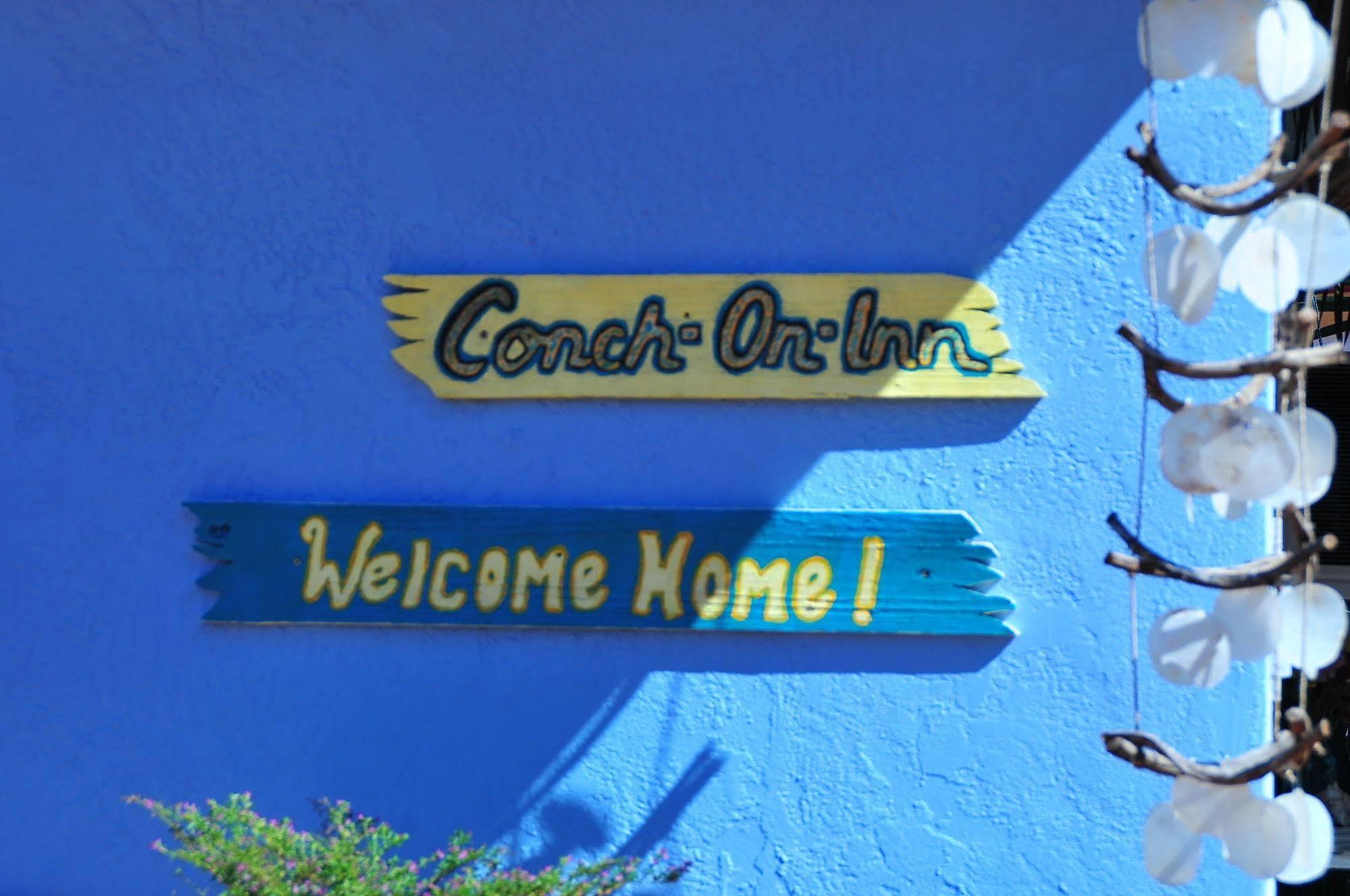 Conch On Inn Motel Tavernier Dış mekan fotoğraf